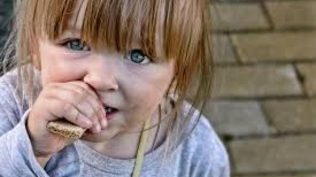 Emergency Food and Shelter Funds Available